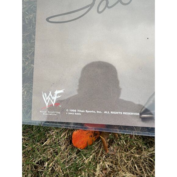 Original 1998 wwf sable poster - Picture 3 of 3